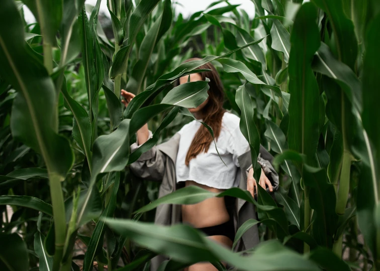 a woman is hiding behind a leafy looking field