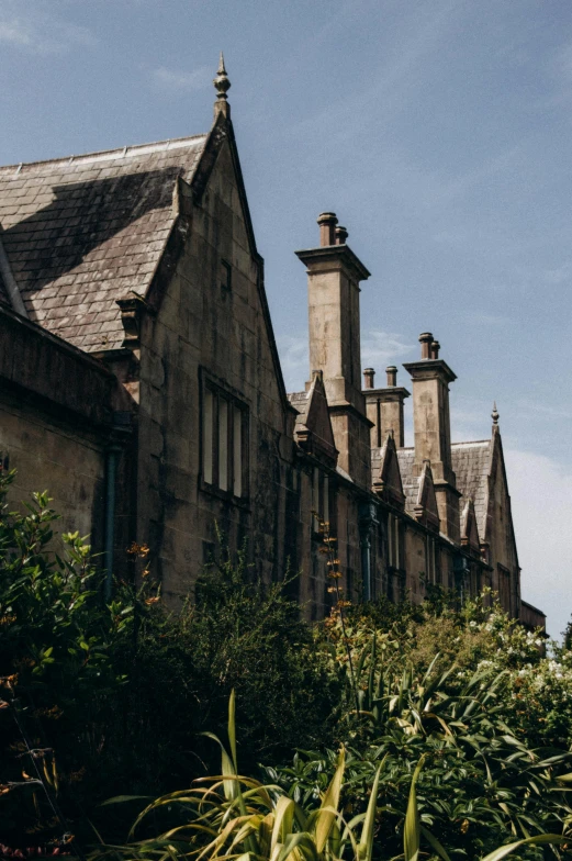 an image of a building that looks like it's looking out from the trees