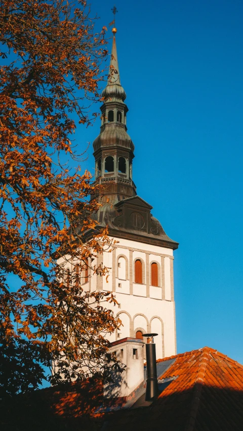 a clock tower with two spires is seen from behind the tree