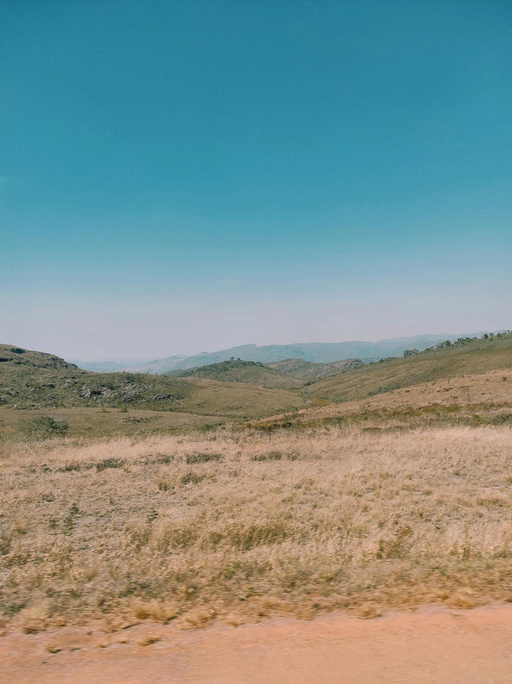 a lone horse is standing in a dry grass field