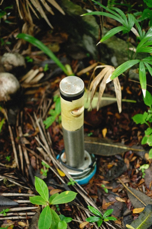 a single green metal pole on the ground near foliage