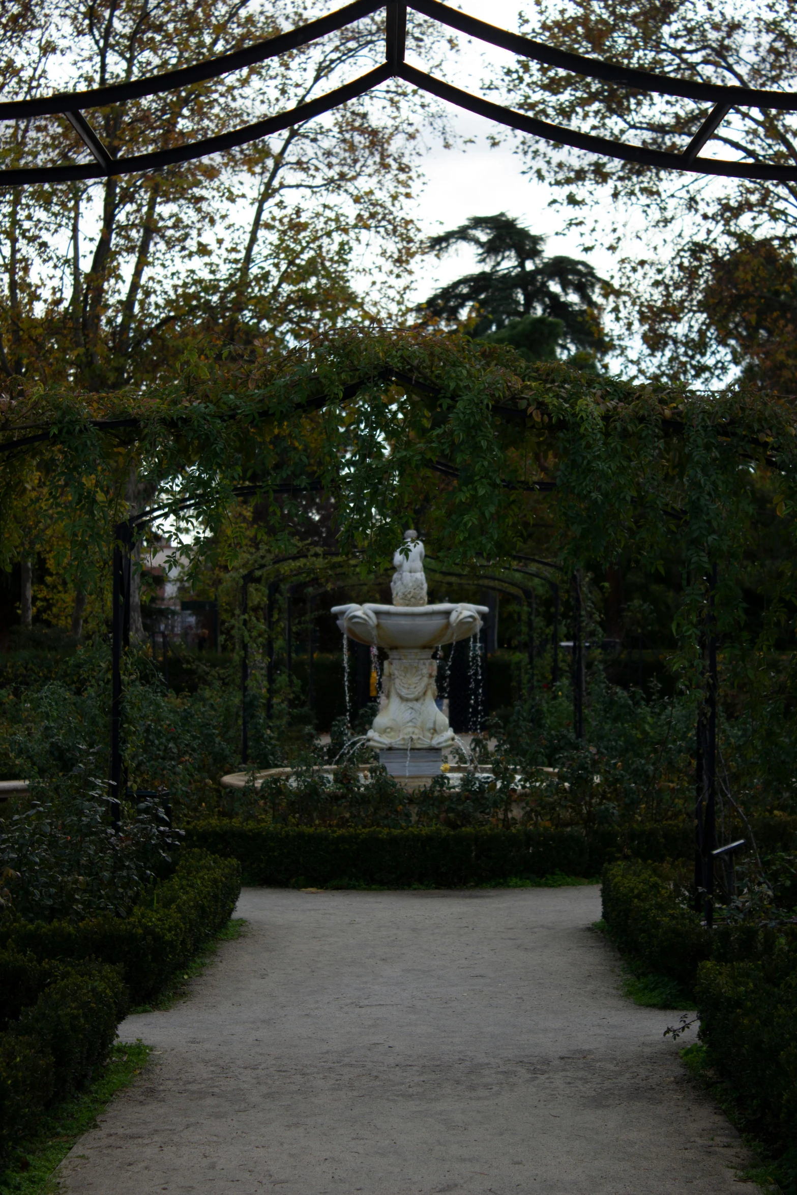 a garden with a fountain and various plants