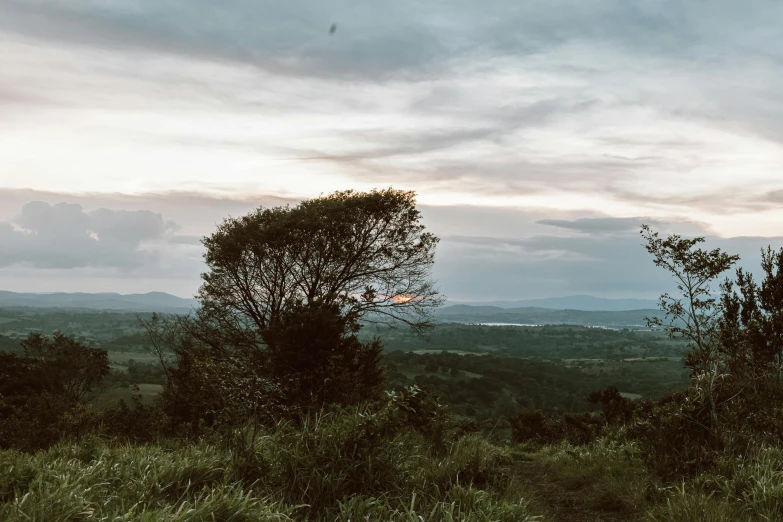 an image of the view from a high hill