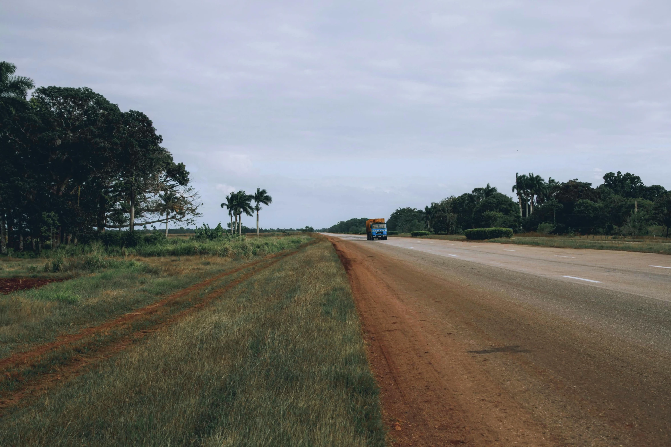 a truck is on the dirt road and has grass growing on it