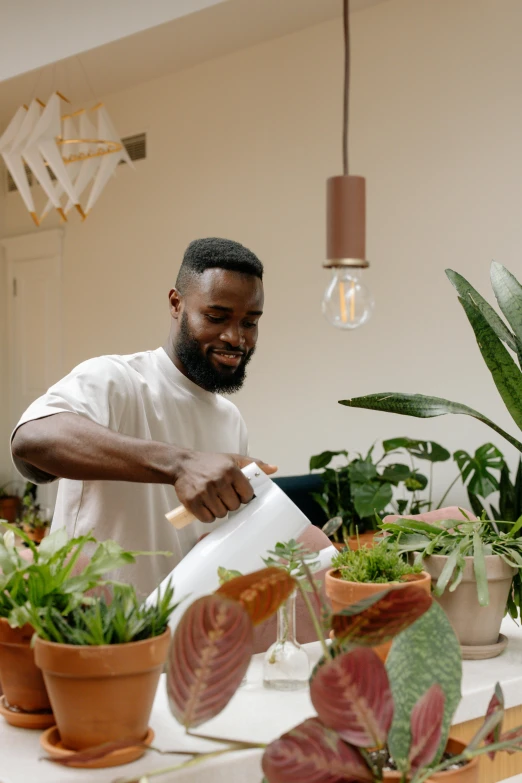 a man in white shirt  paper next to potted plants