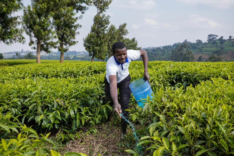 a man working in a field watering water