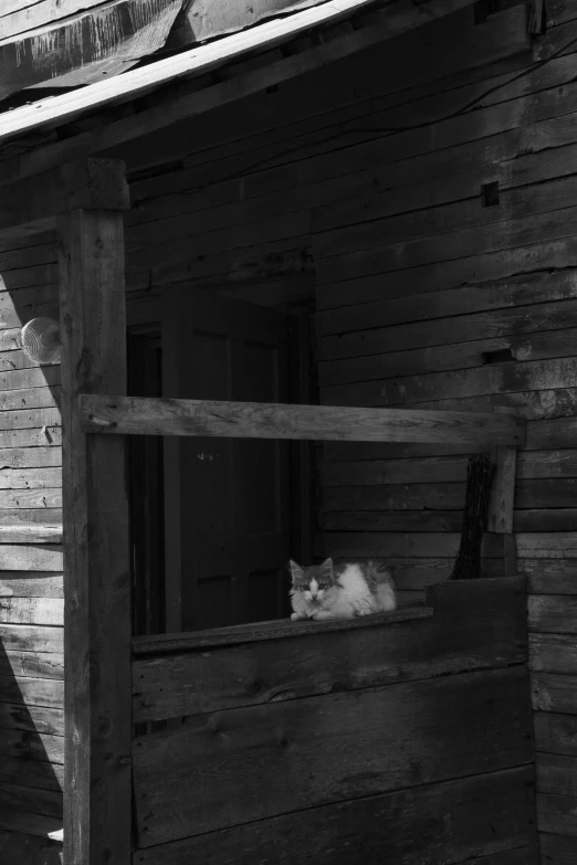 a cat resting on a window ledge in a dark building