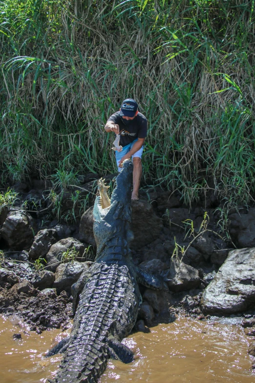 a man is holding an alligator in his arms