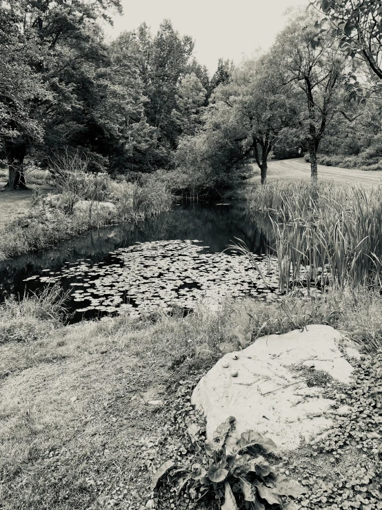 black and white pograph of river with rocks in it