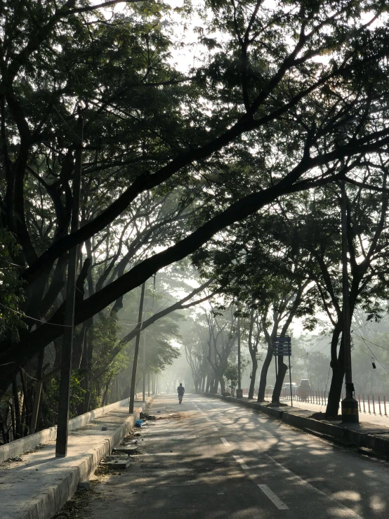 the empty road in the morning has some trees