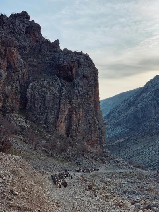 several people hike through the desert on horseback