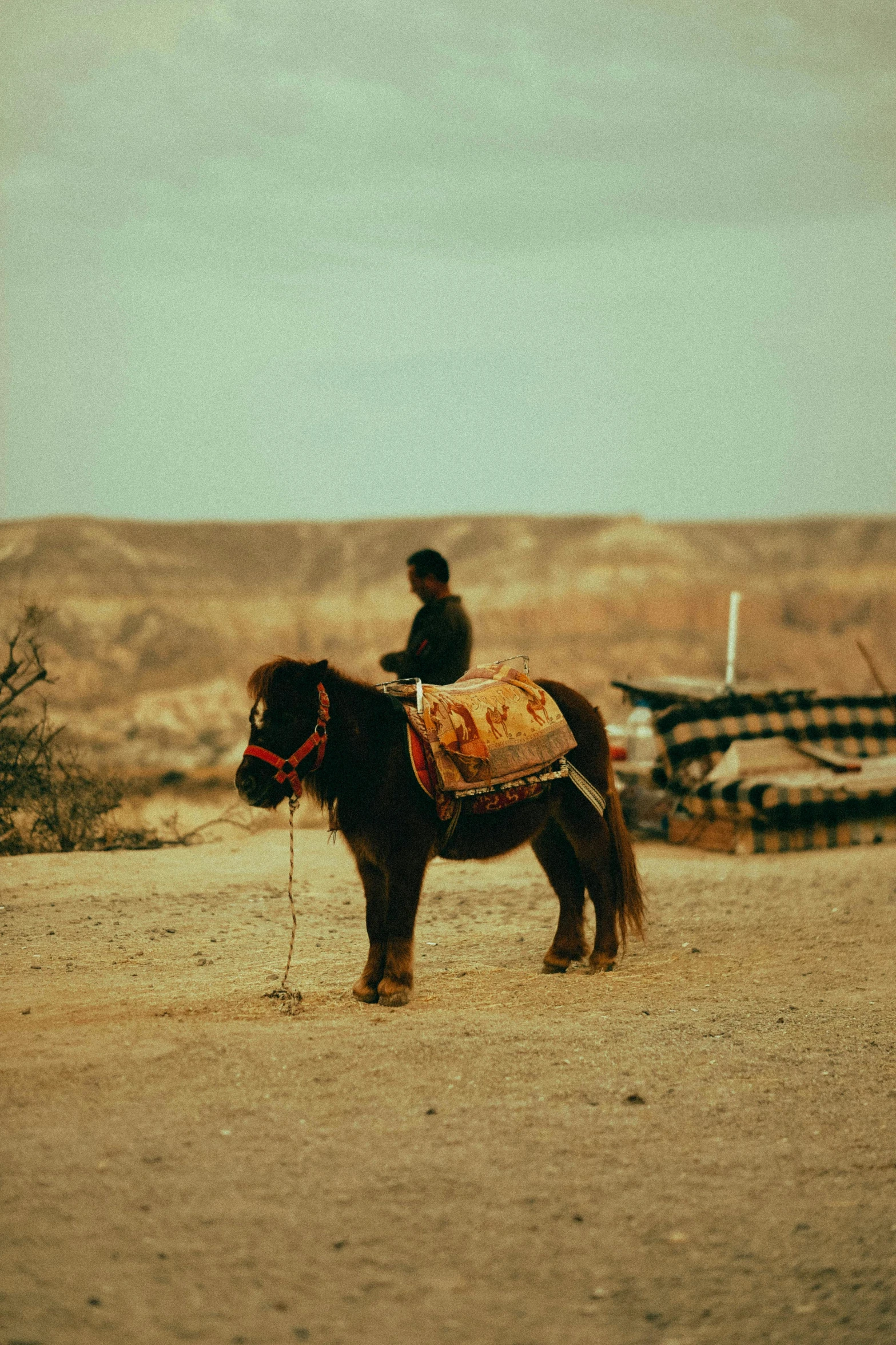 a person that is riding on the back of a horse