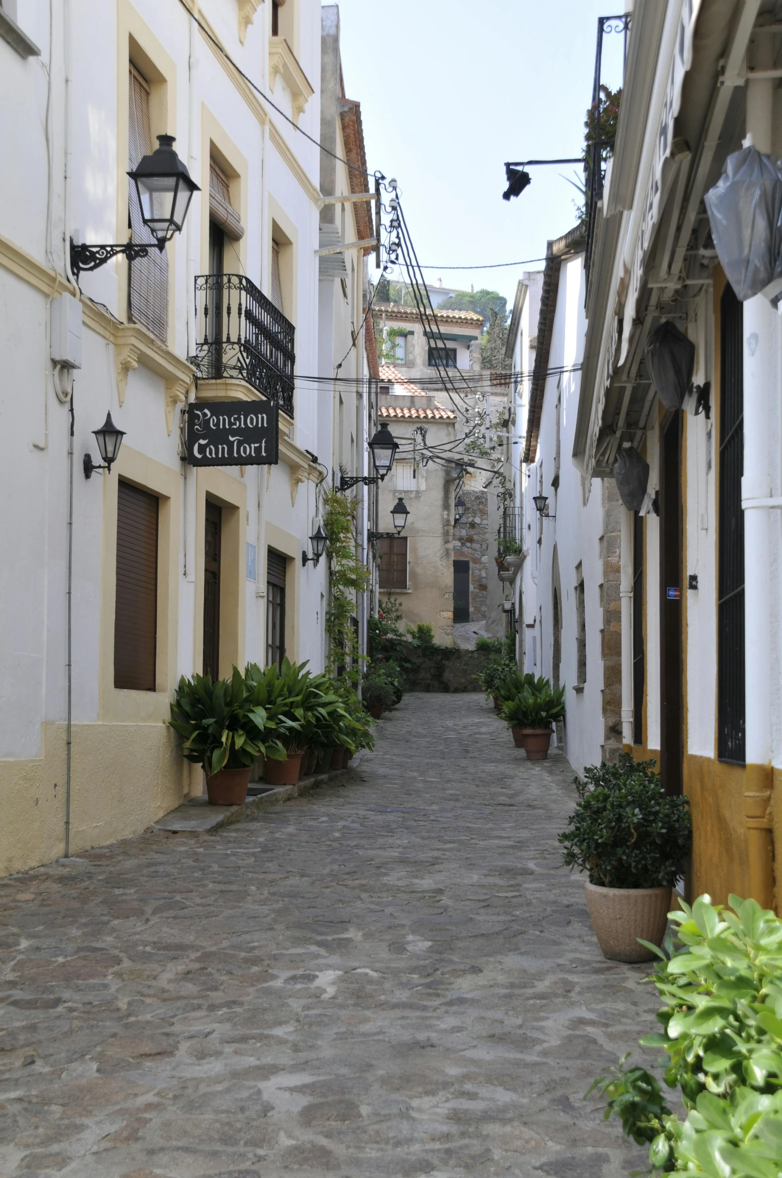 an alley way with various flowers on the planters