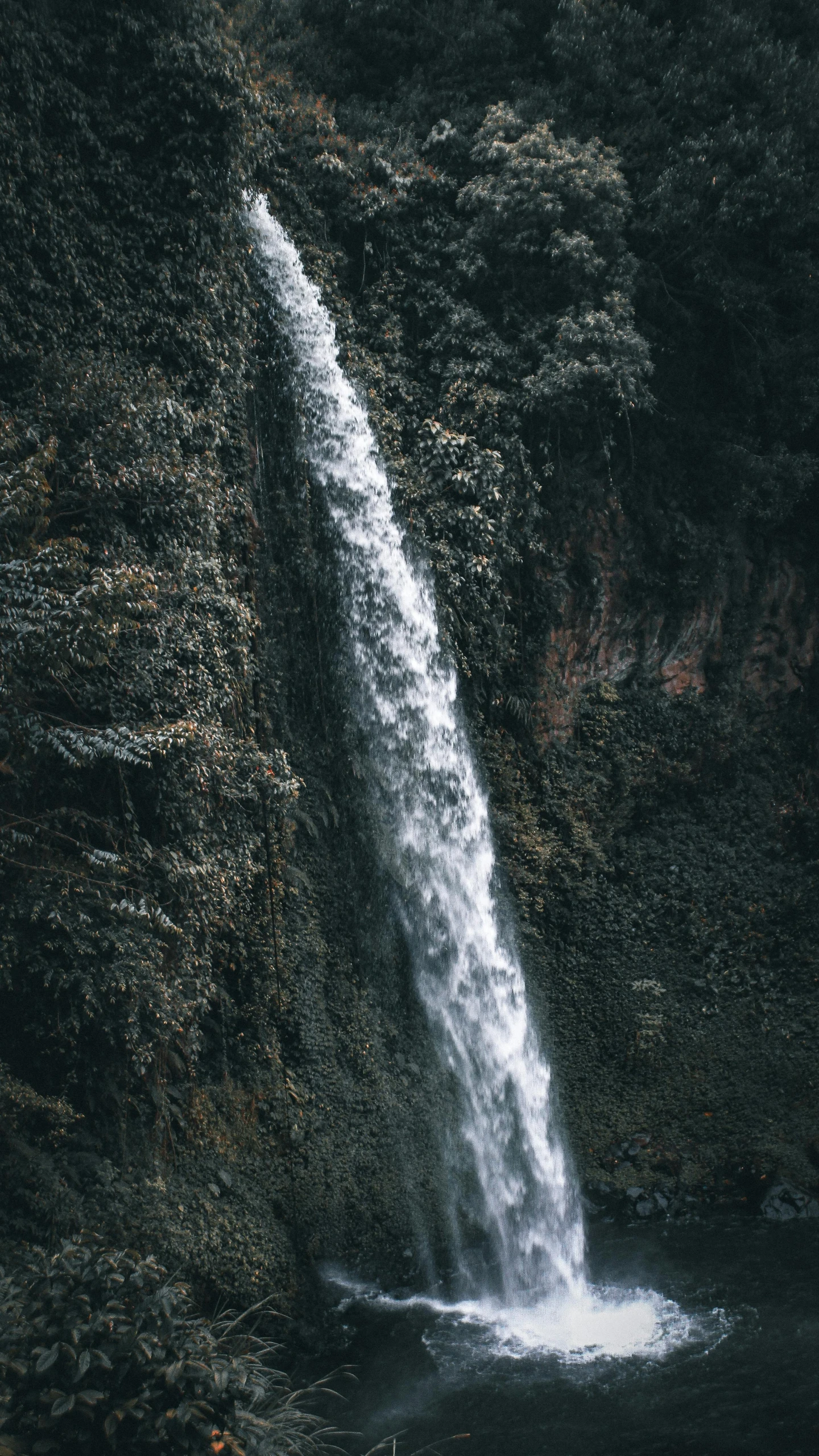 a waterfall falling into a stream in the jungle