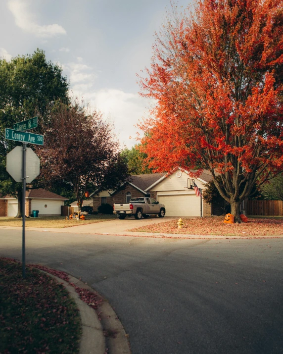 a view of some cars parked in the road, and fall leaves on trees