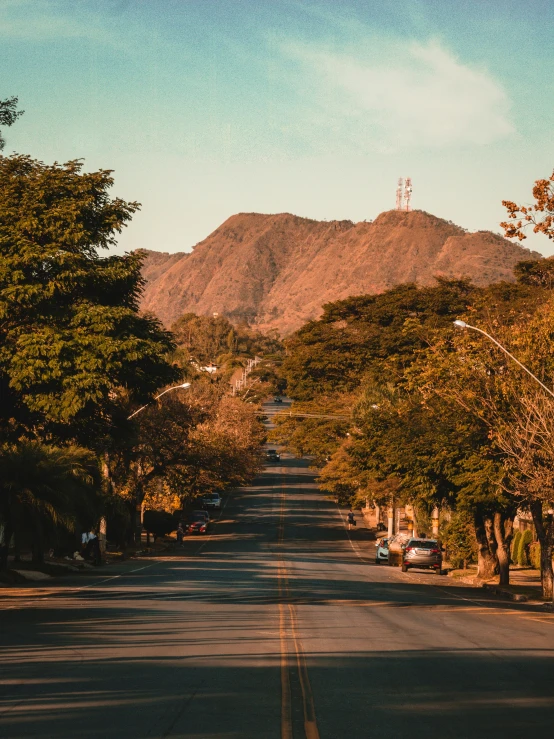a tree lined street with a distant mountain behind it