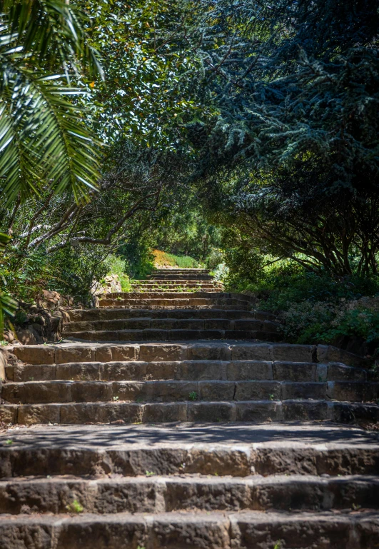 an old set of stairs leading to a forest