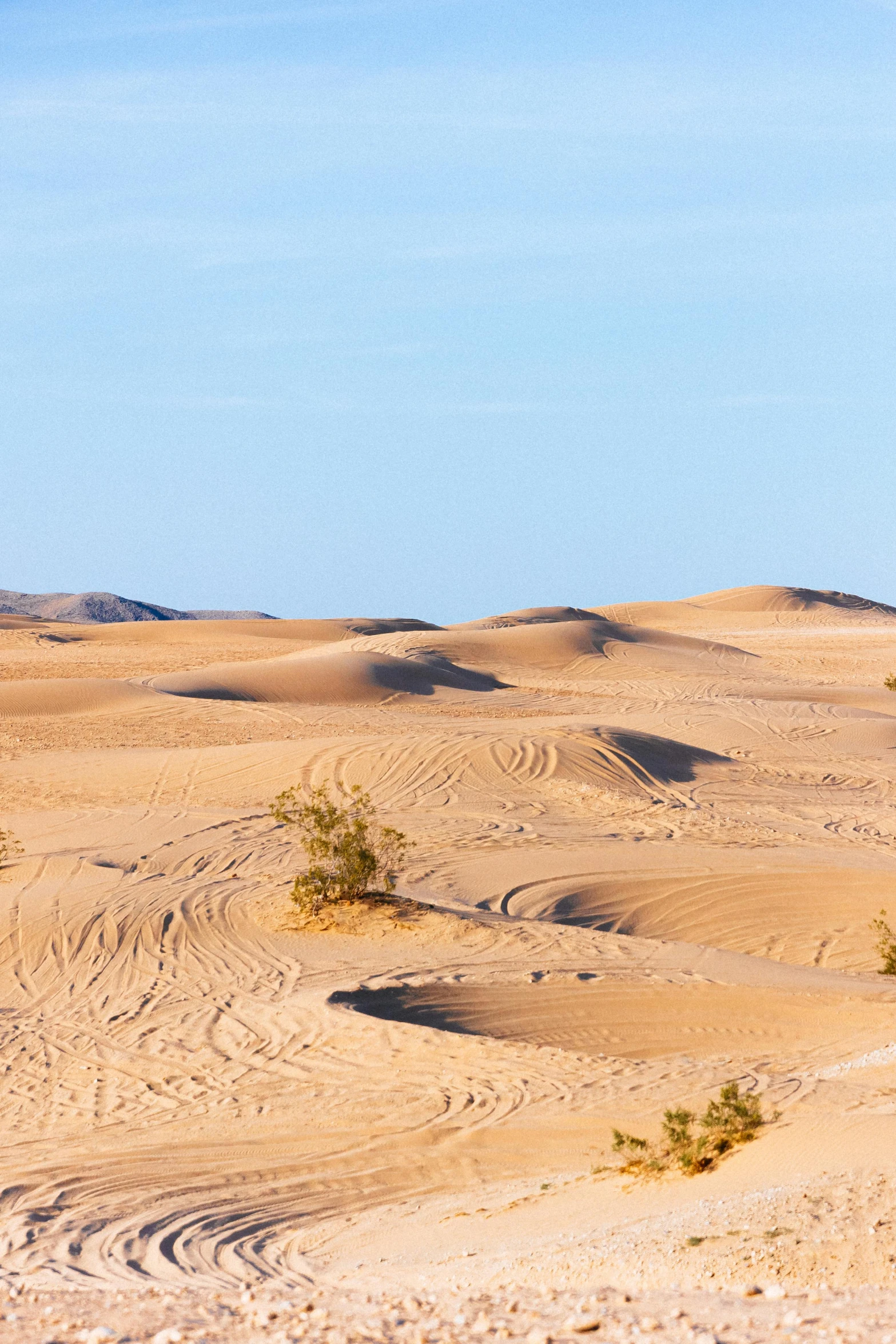 some very big pretty mounds in the sand