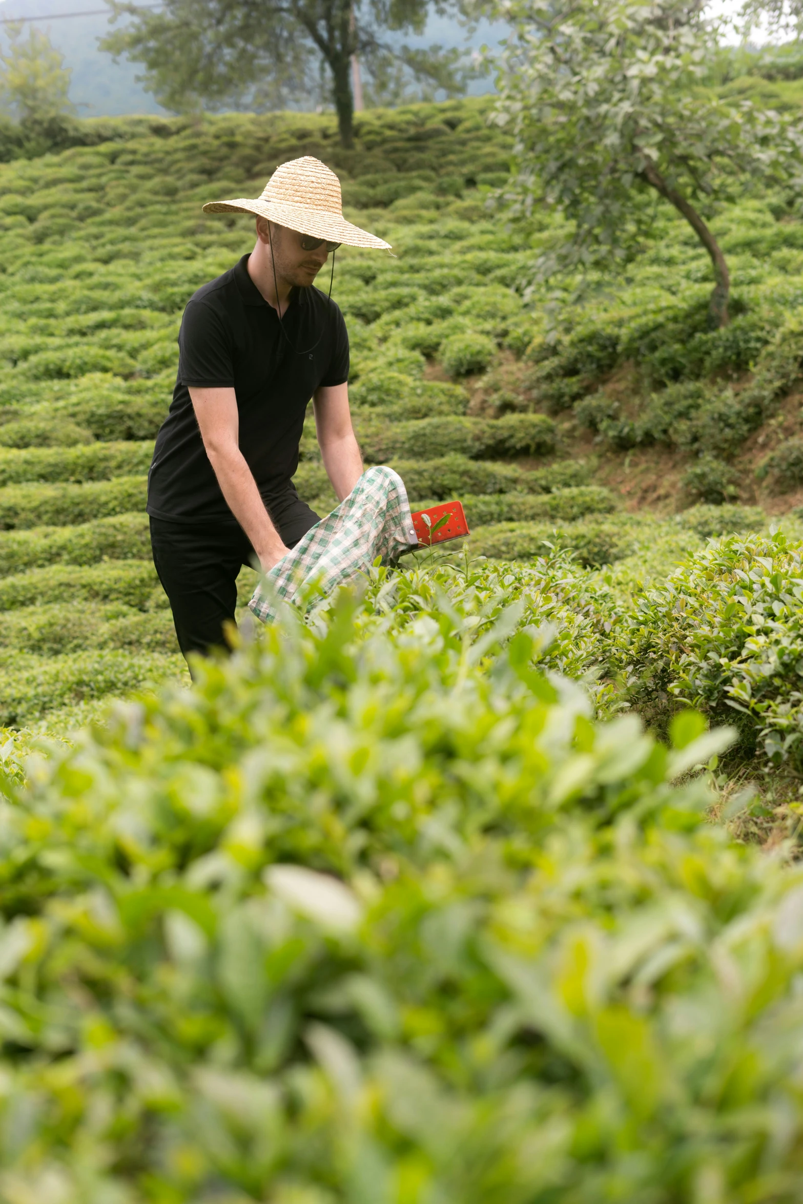 a man in the middle of a green field