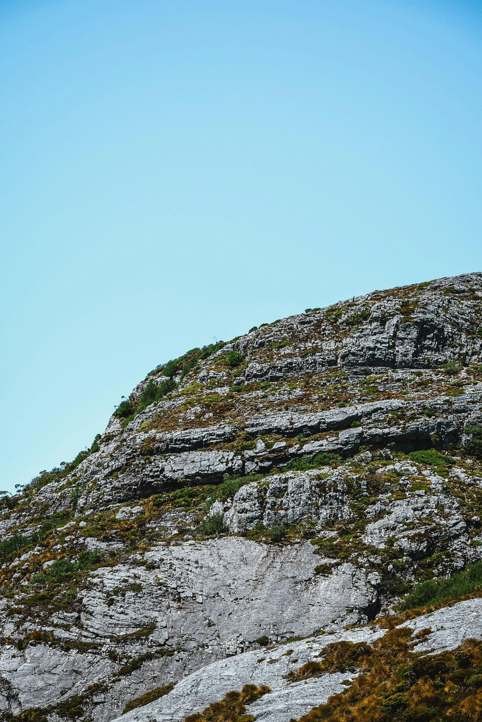 a po of some rocks and trees on a hill