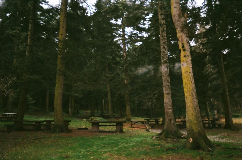 an outdoor picnic area with benches and tables in the woods