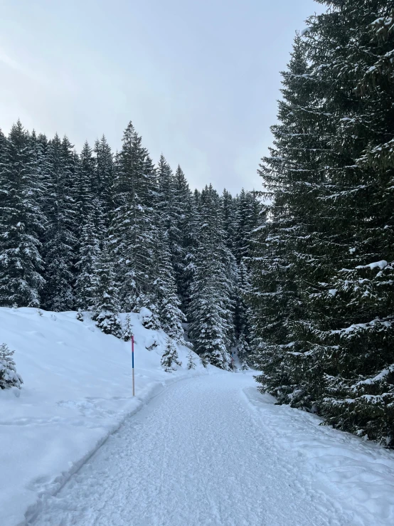 the path to the snow covered ski area