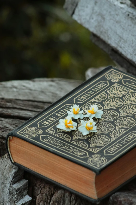 a book with some flowers on it sitting on a piece of wood