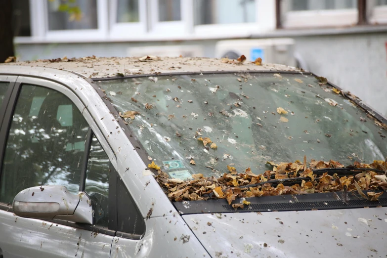 a silver car with its roof covered in leaves