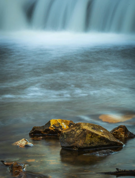 some water some rocks and leaves and rocks