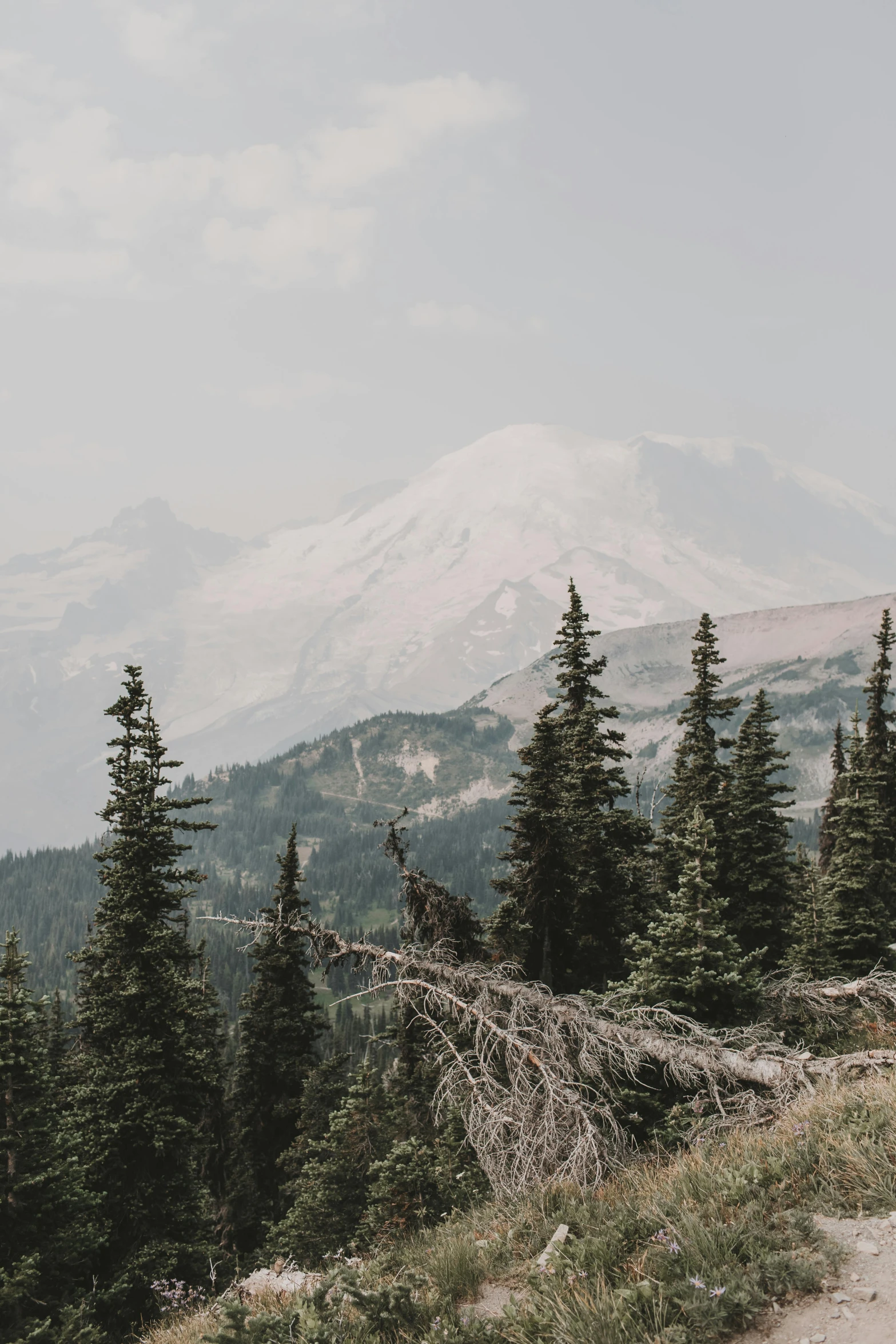 there is a mountain that has some trees on it