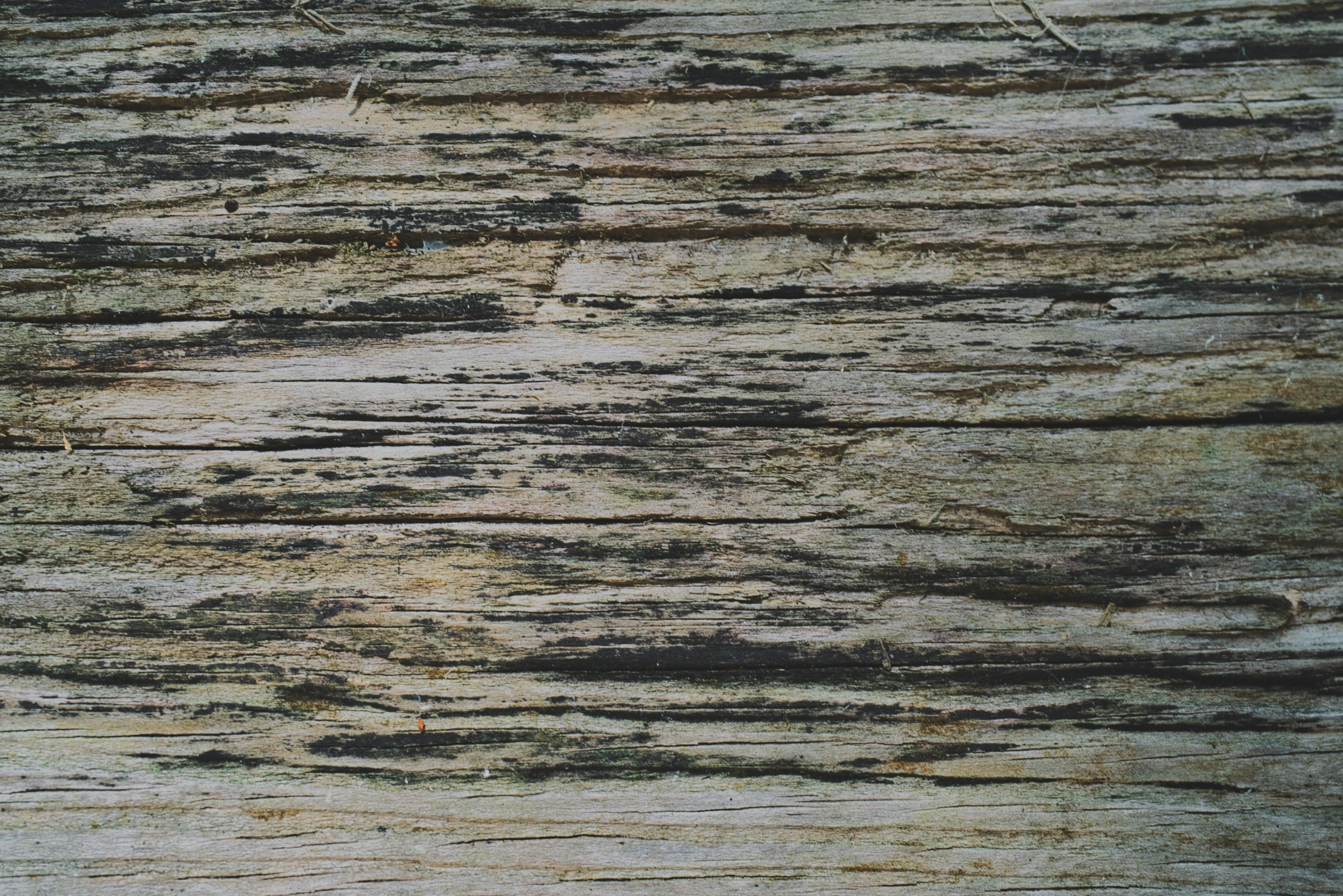 wood texture background, high resolution and resolution