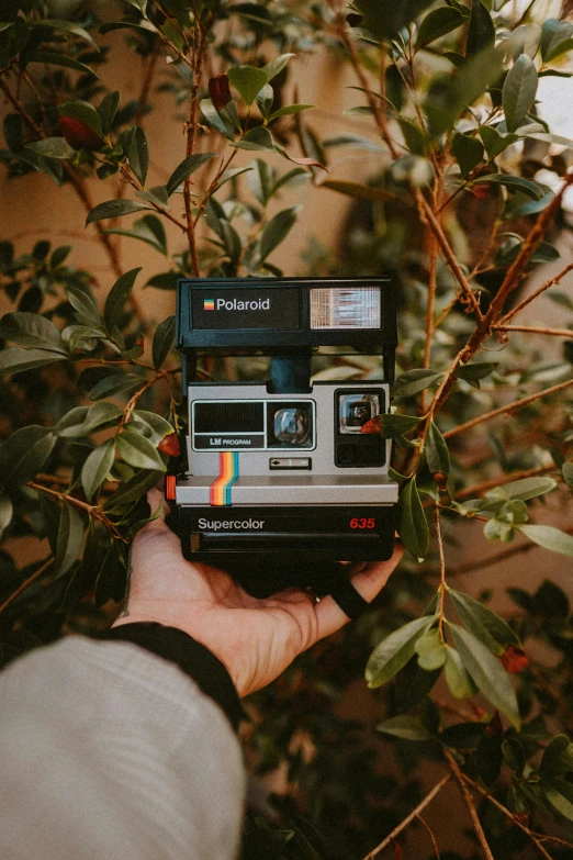 person holding a polaroid in front of some tree