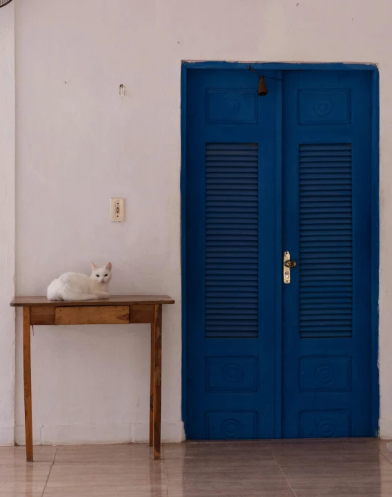 a white cat sitting on a wooden table in front of a door