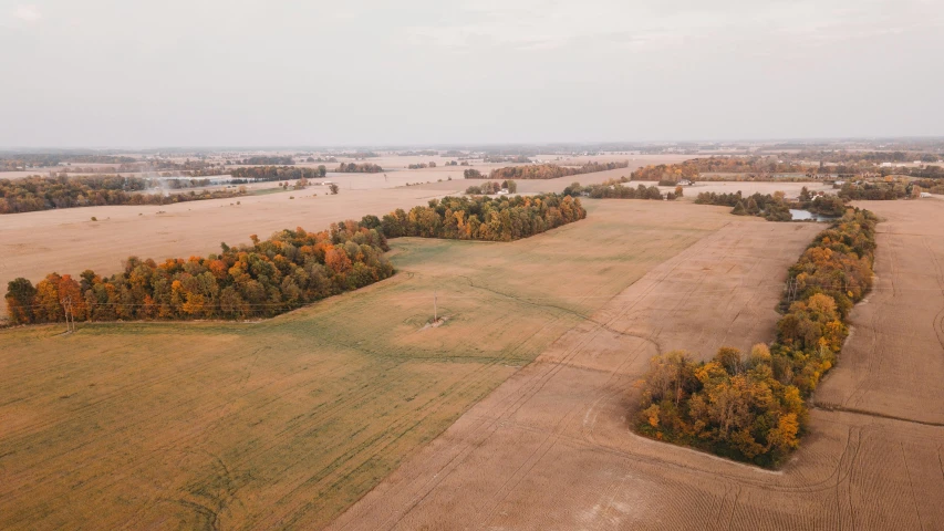 an aerial view of trees and the land