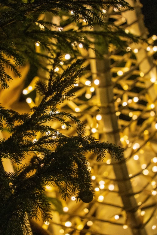 a tree lit with a string light and ornaments