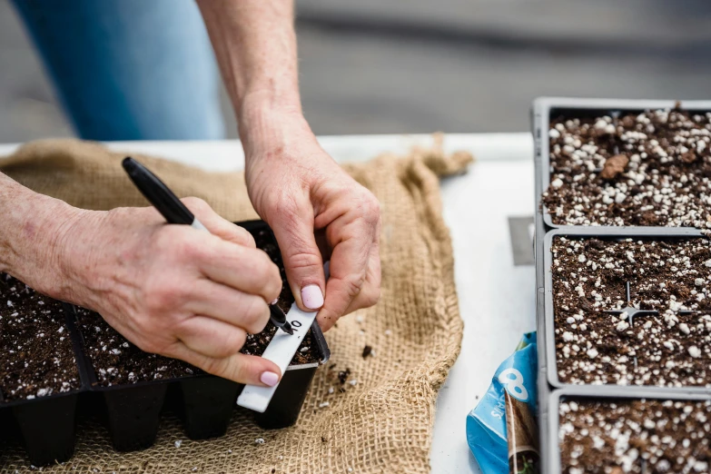 someone is working with some soil in a tray