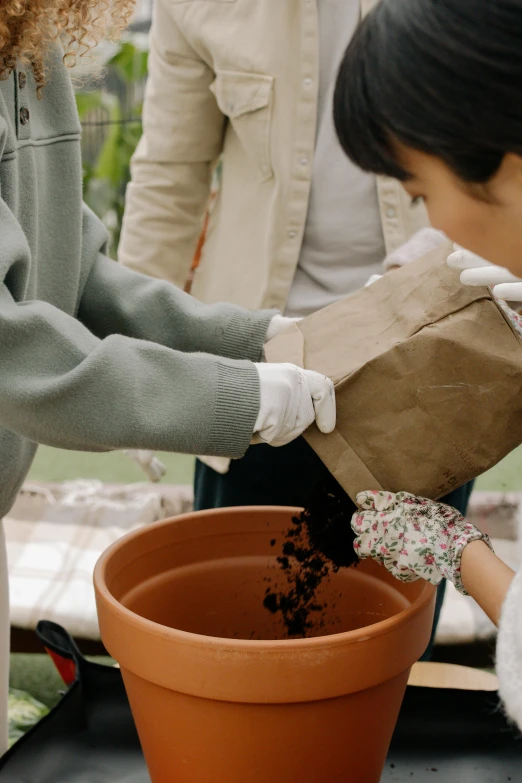 there are people putting potted plants in the pot