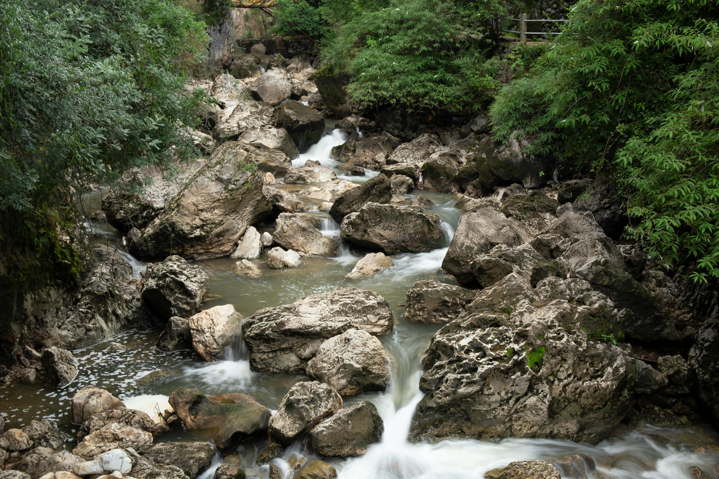 a small creek is flowing through the forest