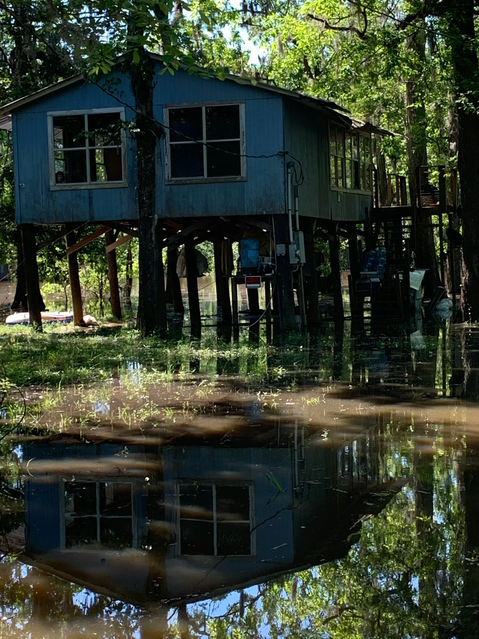 a house in the middle of a forest, surrounded by water