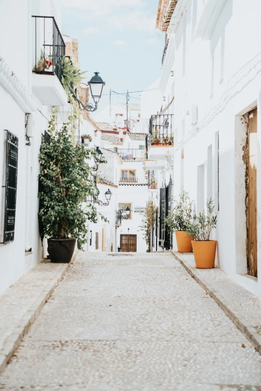 a narrow white building with potted plants on the sides