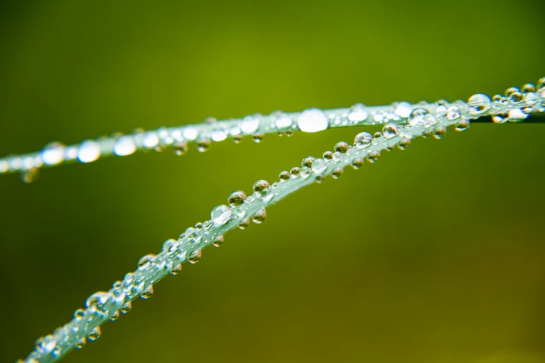 some drops of water that are close together