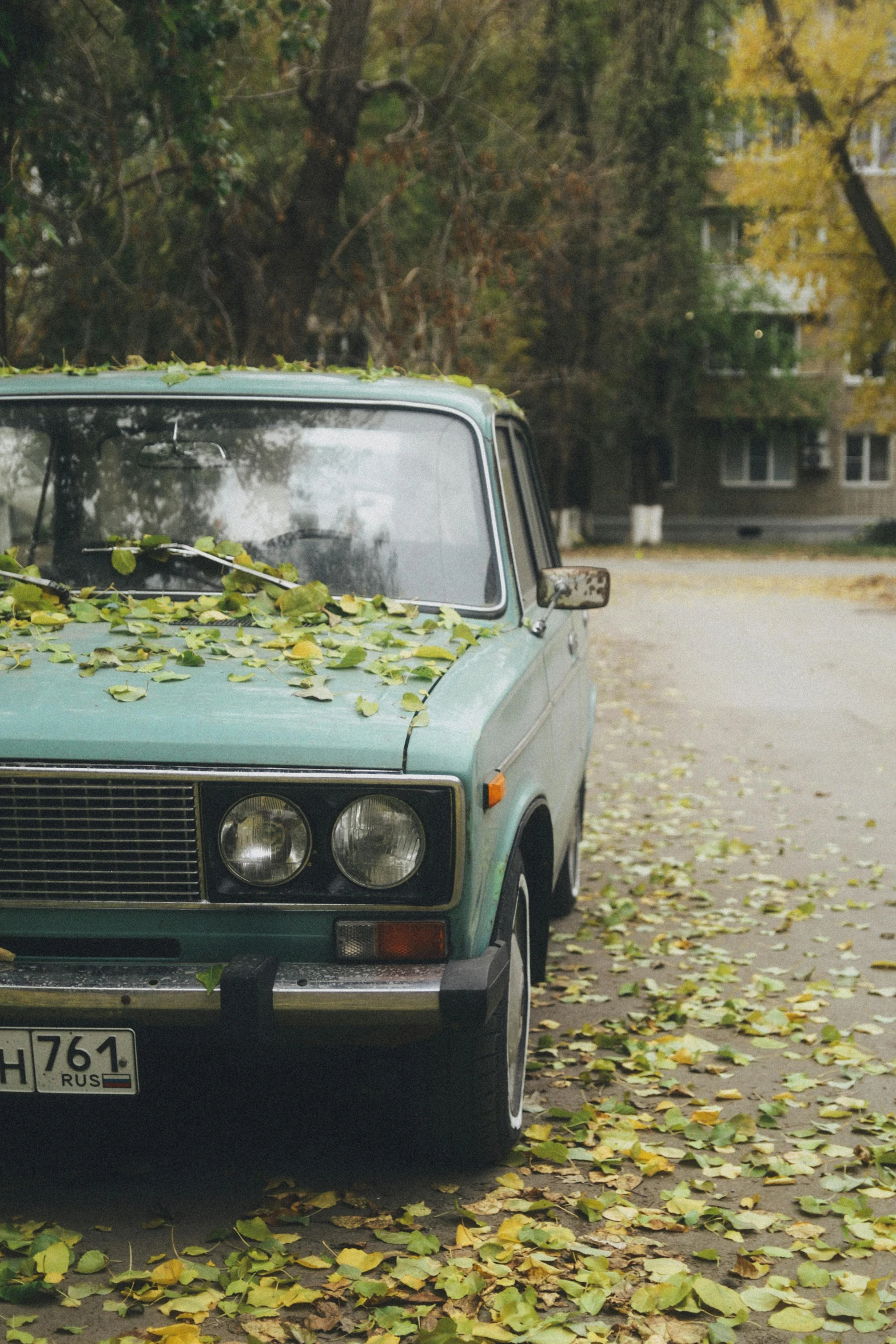 an old car parked on the side of a street with leaves everywhere