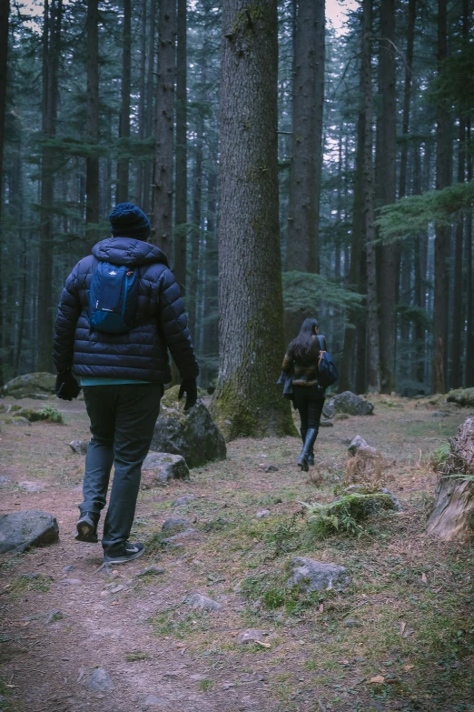 a couple hikes through the forest holding hands