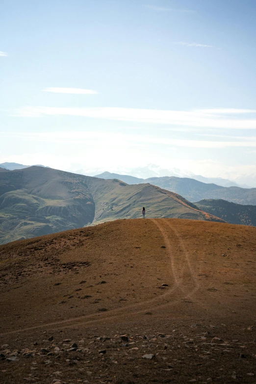 a lone figure is standing on a barren mountain