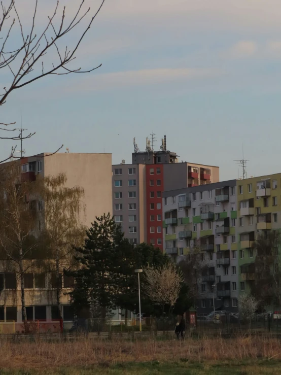 several buildings and one elephant are in a field