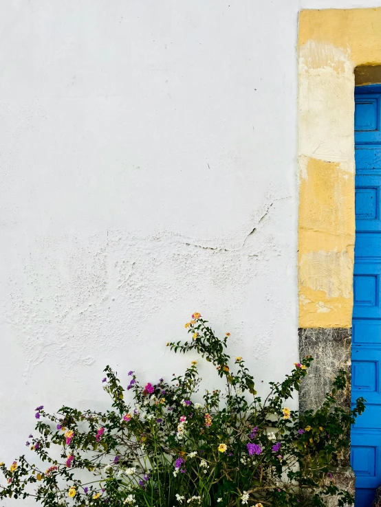 the outside wall of a building has blue, yellow and pink doors