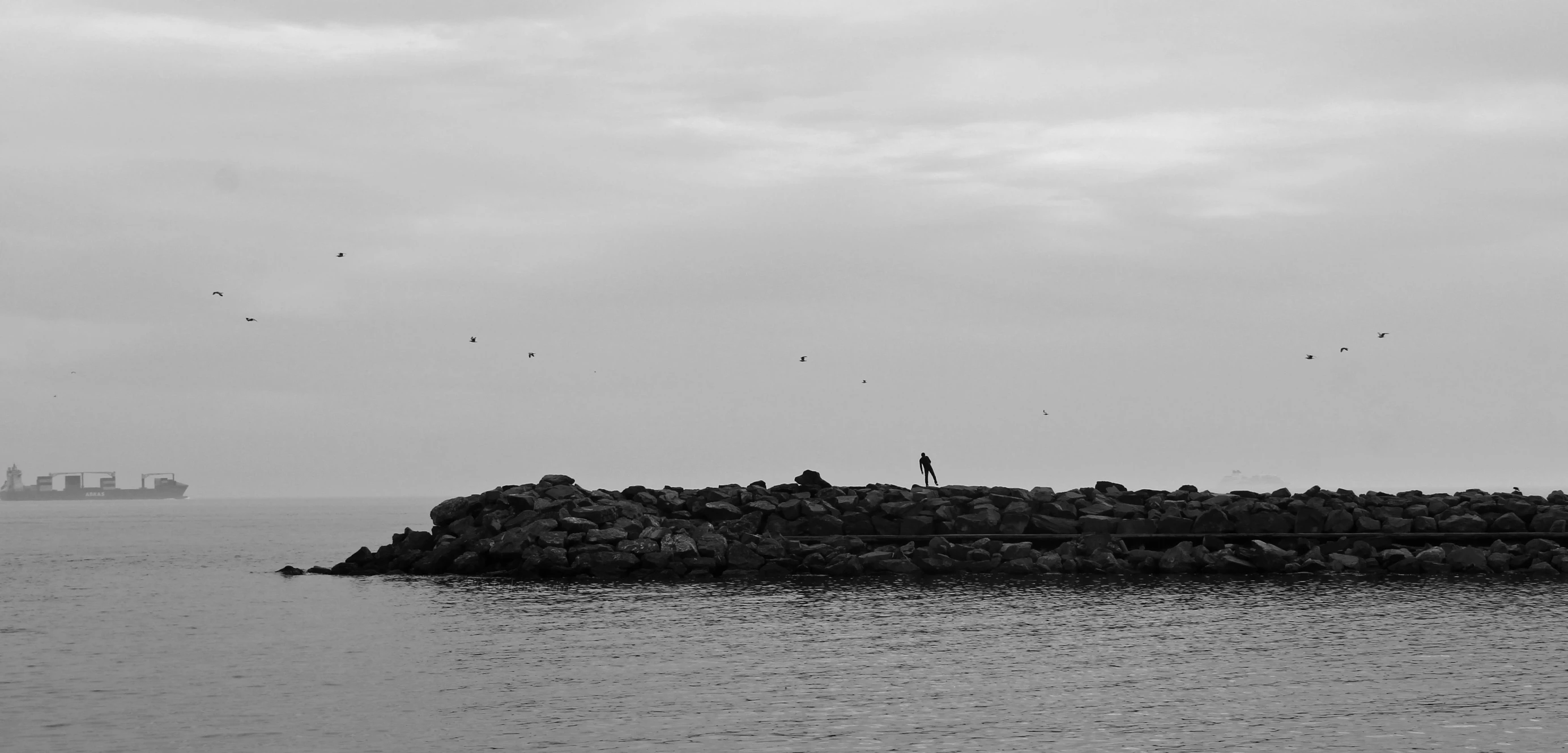 there is a black and white po of an island