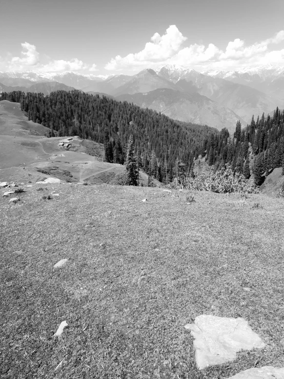 an overview view of some mountains and trees