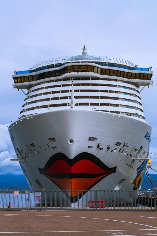 a large white cruise ship in the water