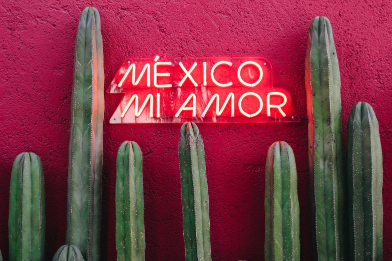 a neon sign that says mexico in spanish on a wall